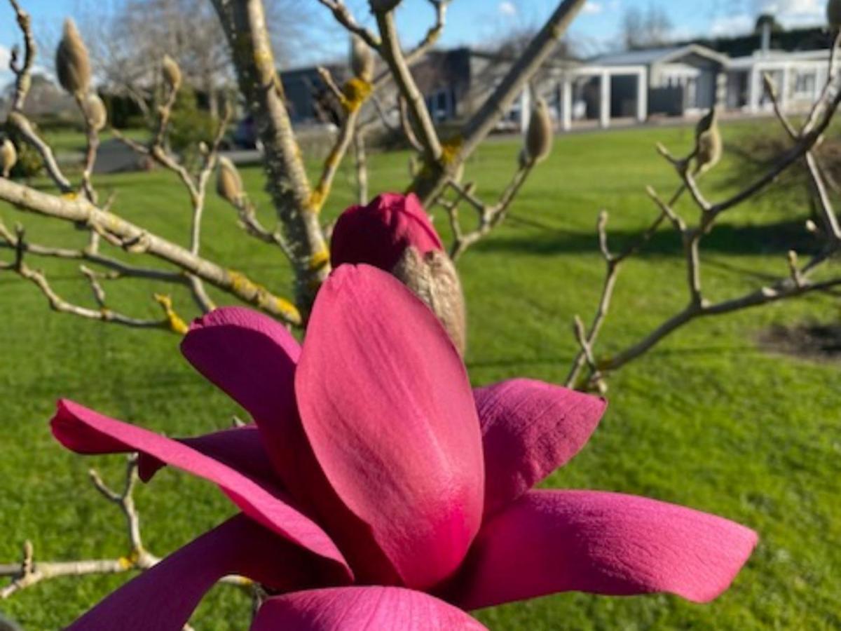 Amuri Villas Clive Eksteriør billede