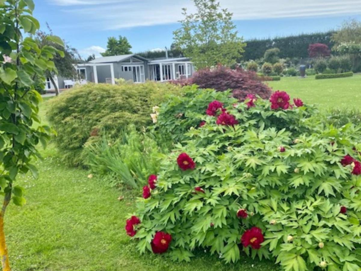 Amuri Villas Clive Eksteriør billede
